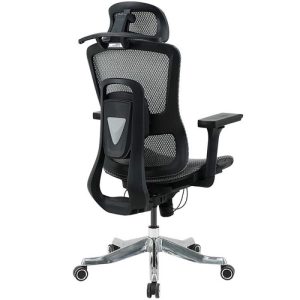 Ghế công thái học GLE20 ảnh 3