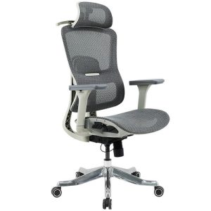 Ghế công thái học GLE21 màu ghi