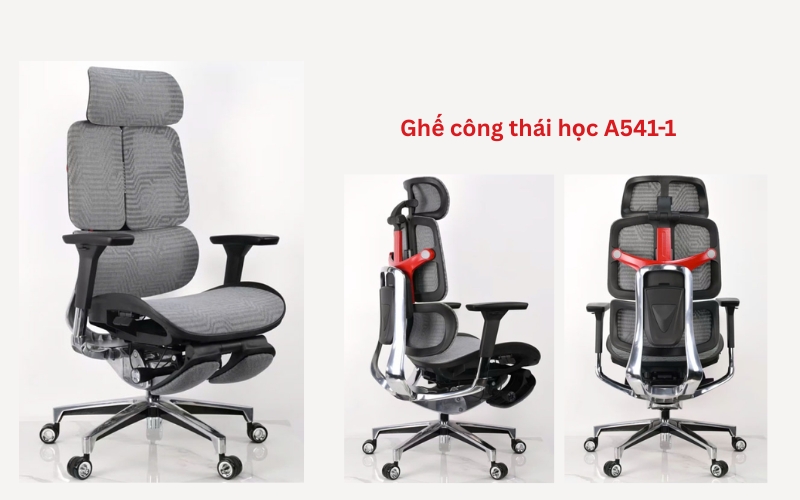 Ghế công thái học A514-1 