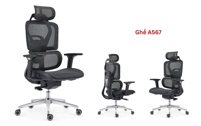 Ghế công thái học A567 